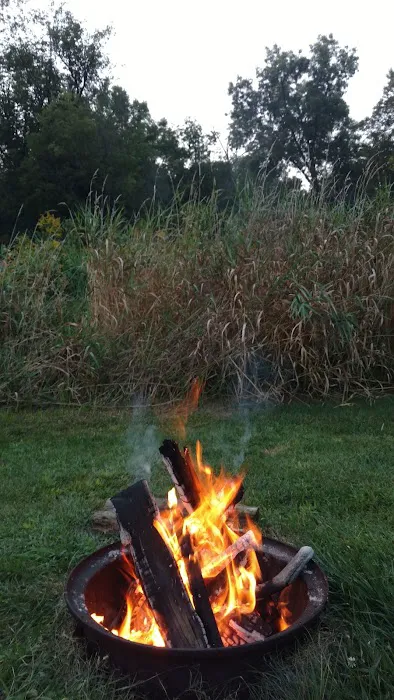 Highway 250 Campground 10