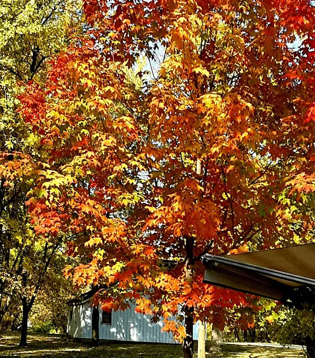 Little Turkey River Campground LLC 2