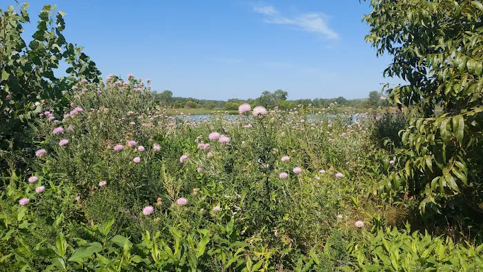 Wakonda Lake Campground 7