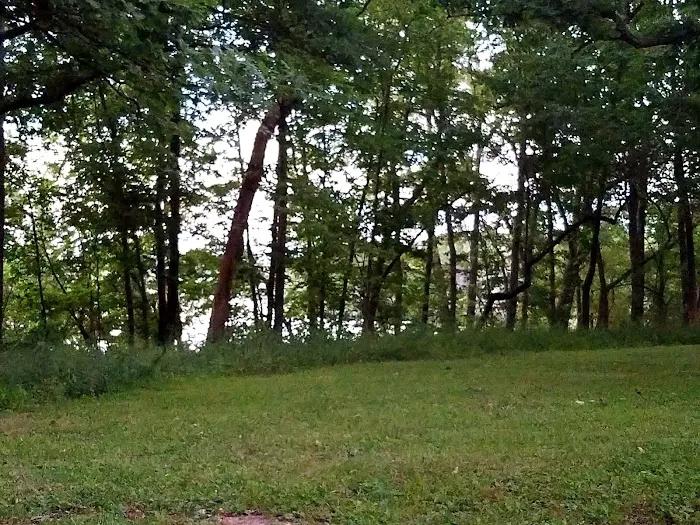 Pittsfield Lake Campground 8
