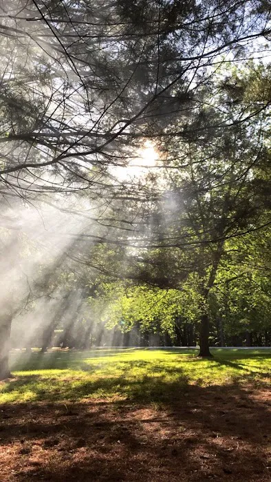 Pine Grove Campground 1
