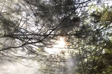 Pine Grove Campground