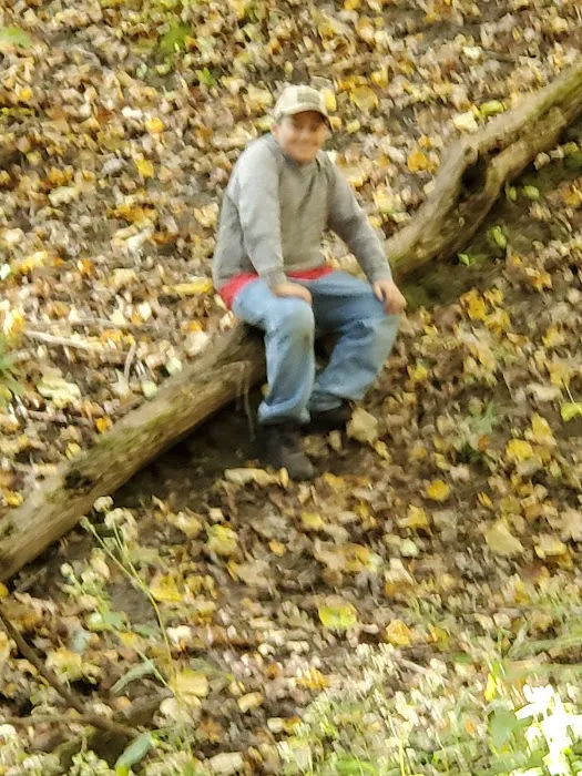 Pine Grove Campground 4