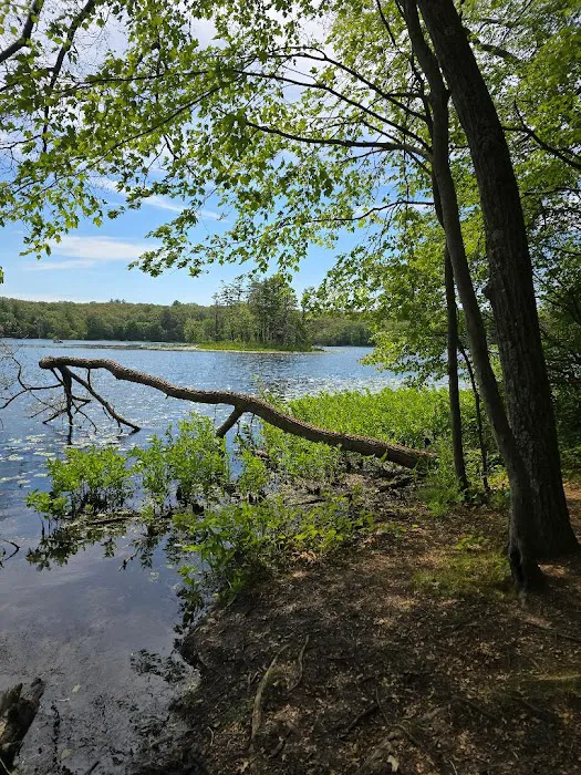 Welcome Woods Campground 8