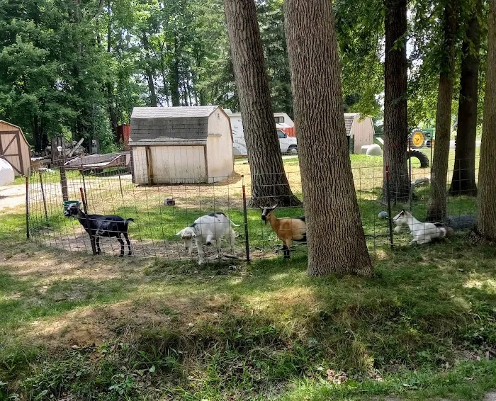 River Pines RV Park Campground 3