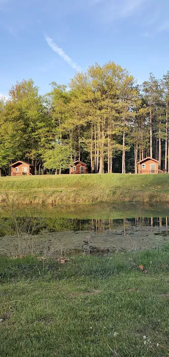 River Pines RV Park Campground 8