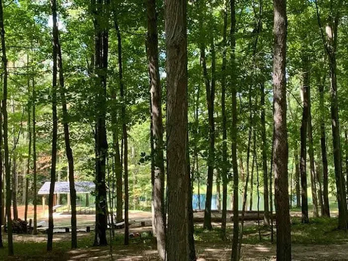 Hamilton Campground 1