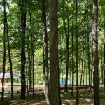 Hamilton Campground
