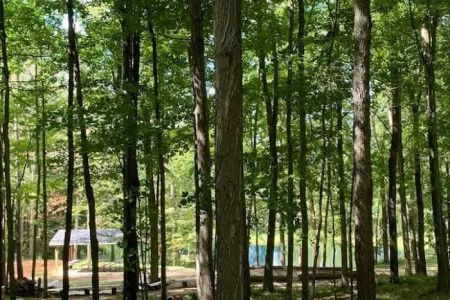 Hamilton Campground