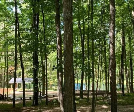 Hamilton Campground