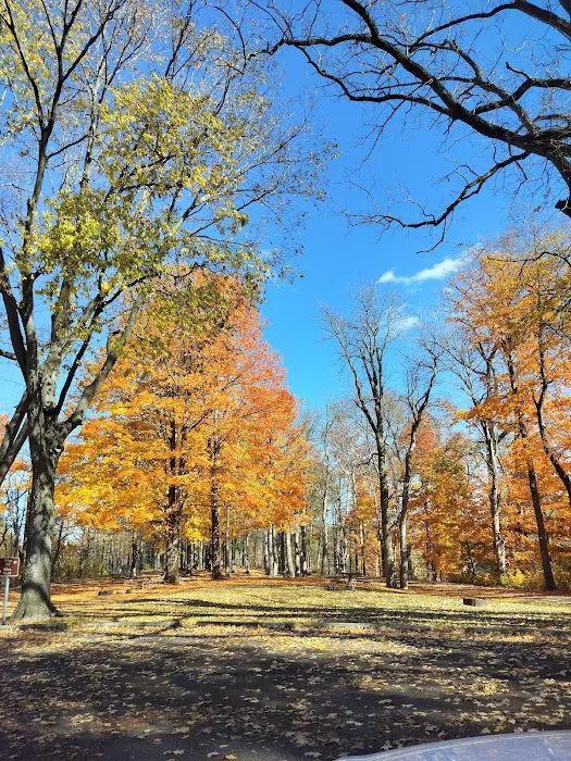 Independence Dam State Park Campground 6
