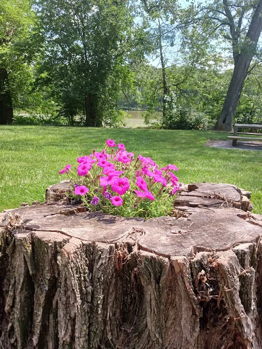 Independence Dam State Park Campground 5
