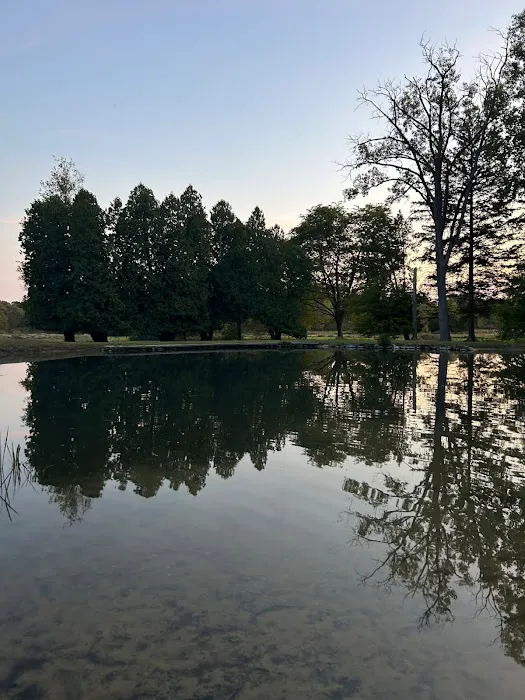 Southern Michigan Marble Springs Campground 1
