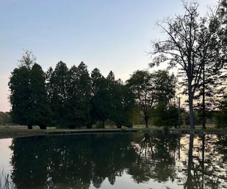 Southern Michigan Marble Springs Campground