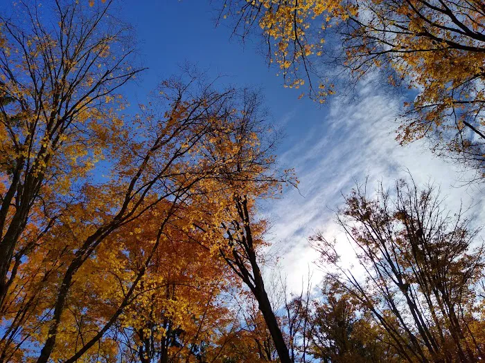 Southern Michigan Marble Springs Campground 9
