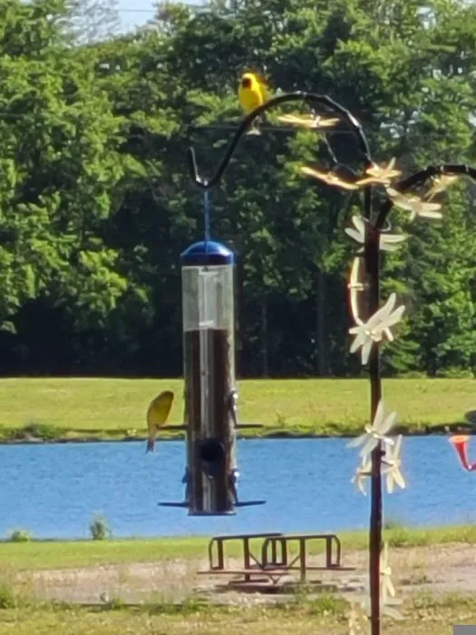 Golden Rule Campground 6