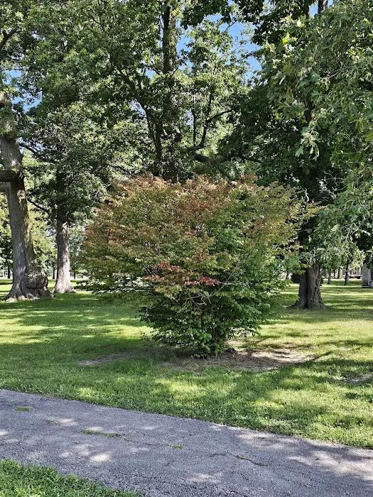 Greenwood Park Manufactured Home Community 9
