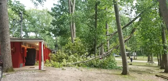 Sherwood Forest Campground 4