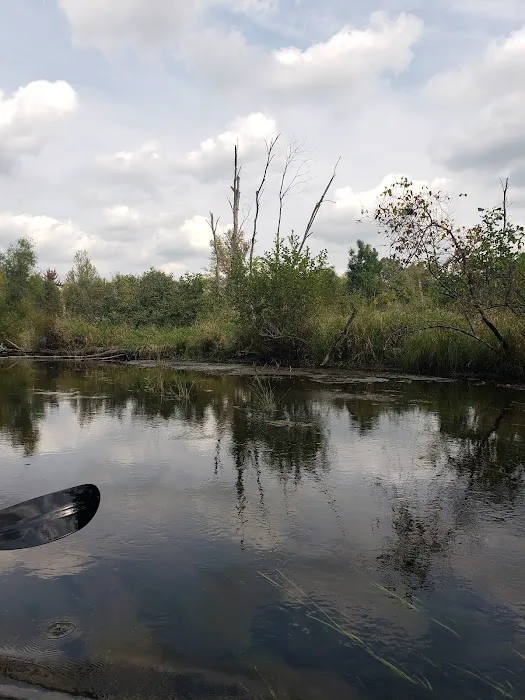 Twin Pine Campground & Canoe 4