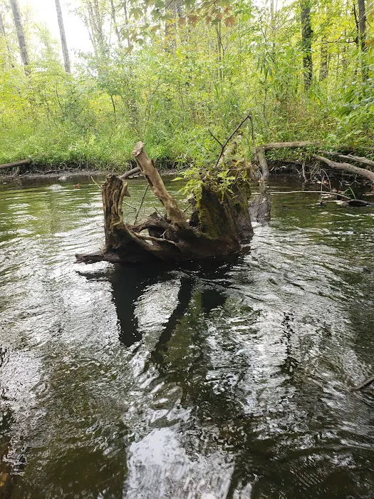 Twin Pine Campground & Canoe 2