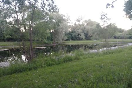 Three Oaks Estates