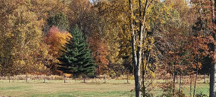 Hudsonville Family Campground 5