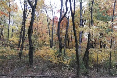Glendale Campground