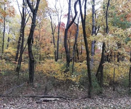 Glendale Campground