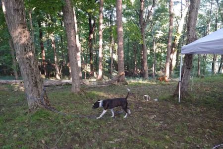 Hilltop Campgrounds
