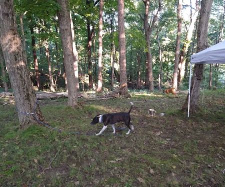 Hilltop Campgrounds