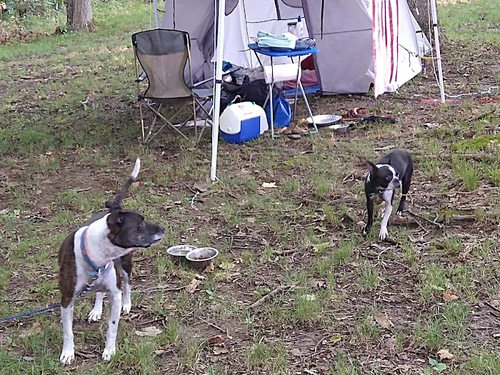 Hilltop Campgrounds 4