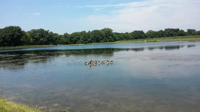 Cool Creek Resort 6