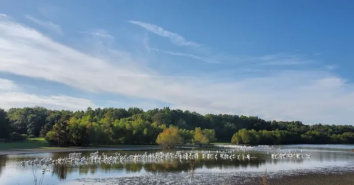 Illini Campground 8