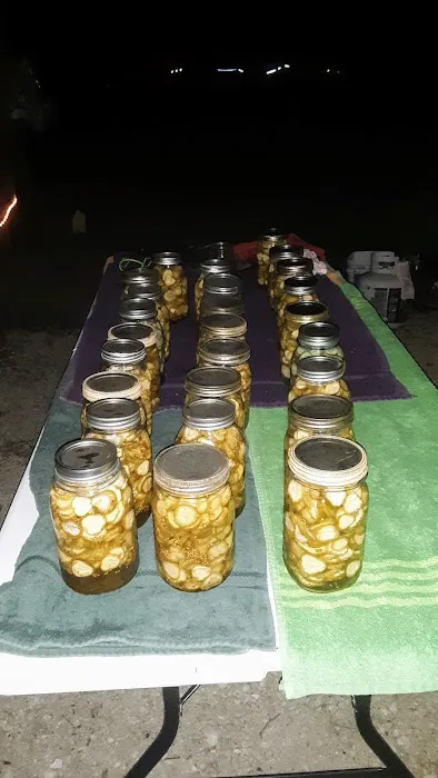Carlyle Village Campground 8
