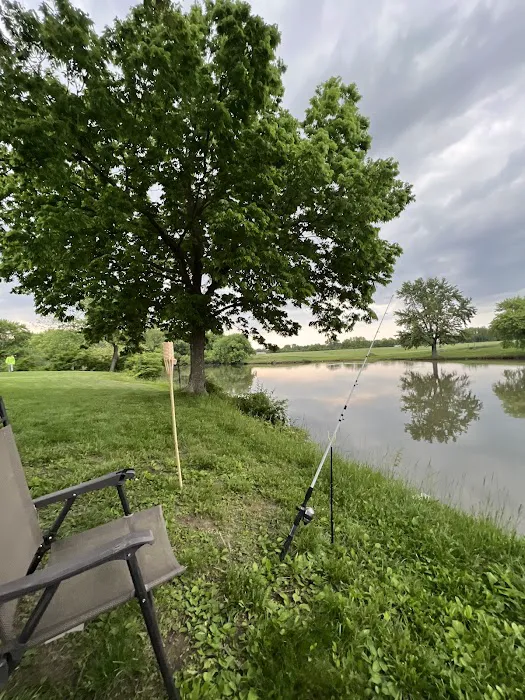 Town & Country Lakes 4