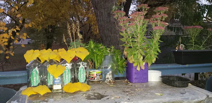 Pondarosa Community 4
