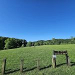 Yellowwood Campground