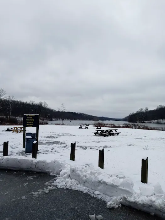 Yellowwood Campground 4