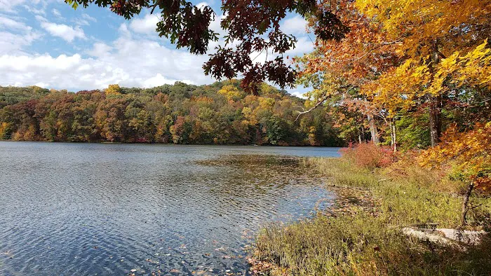 Yellowwood Campground 9