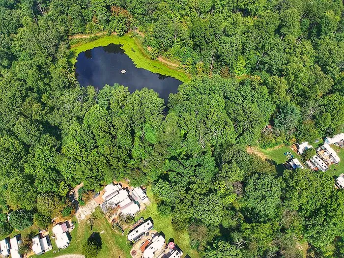 Camp Buckwood 10