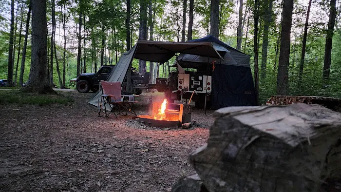 Yellowwood State Forest Camp Sites 1