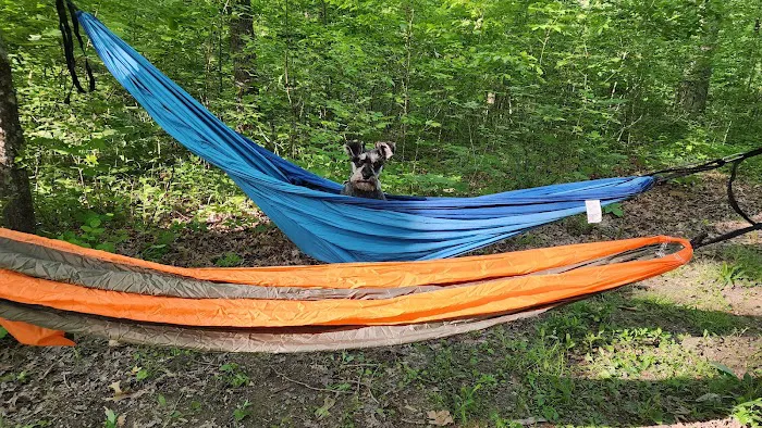 Yellowwood State Forest Camp Sites 5