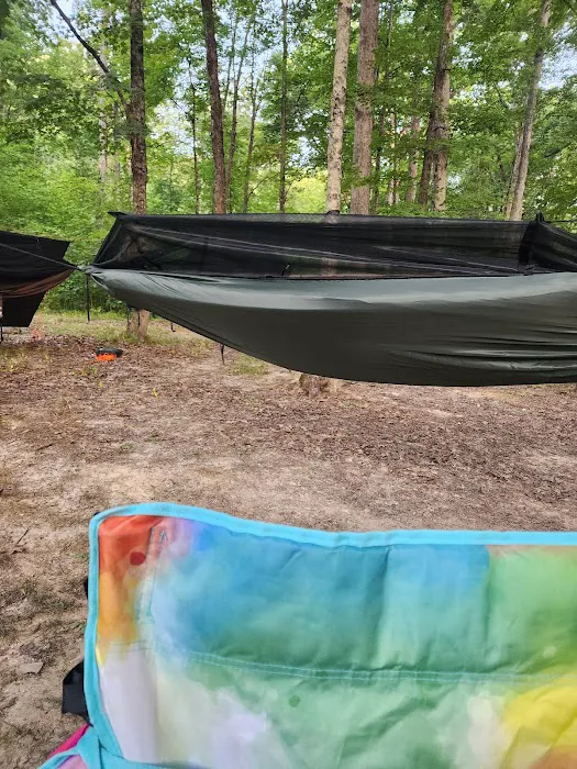 Yellowwood State Forest Camp Sites 6