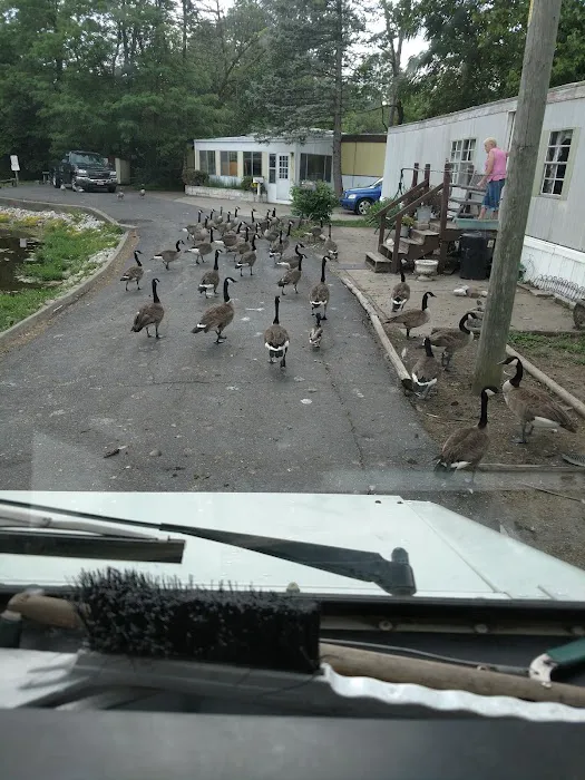 Longacre Mobile Home Park 8