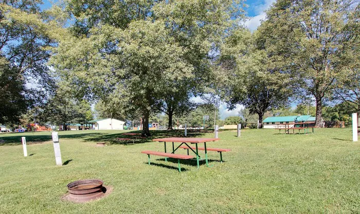 Yogi Bear's Jellystone Park 8