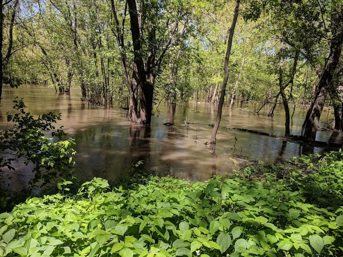Cedar Bend Campground 2