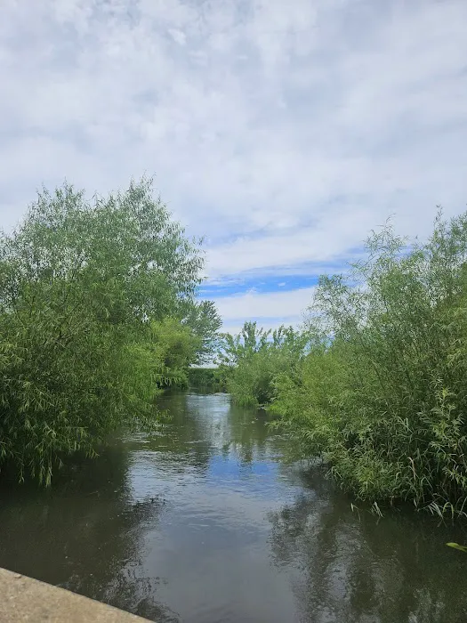 Grundy County Lake Campground 6