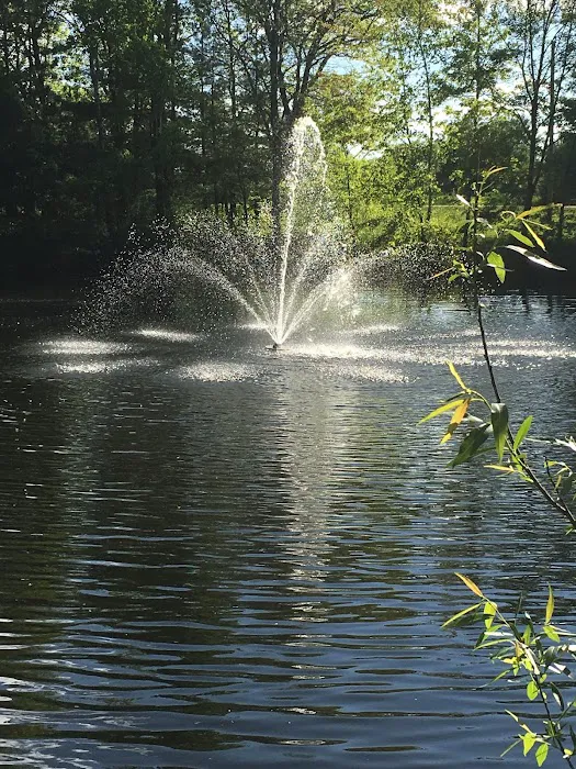 Woods Edge Campground 7