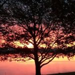 Sunrise Shores Manufactured Housing Community