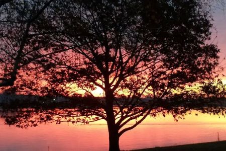 Sunrise Shores Manufactured Housing Community